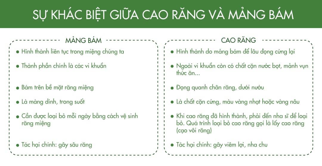 sự_khác_biệt_mảng_bám_cao_răng
