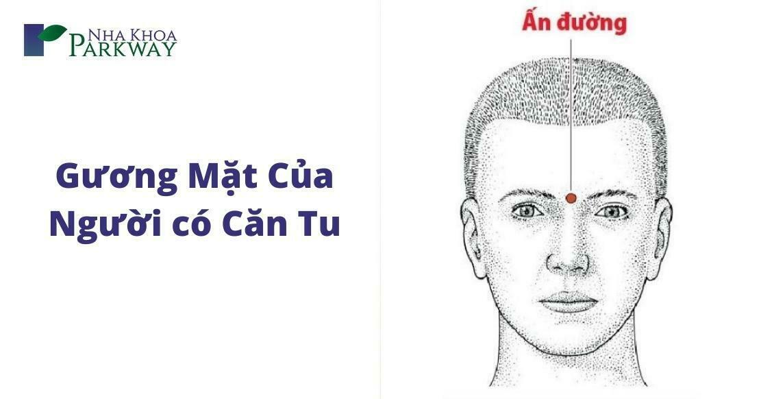 Căn tu: Hãy cùng chiêm ngưỡng một căn tu tuyệt đẹp, nơi tỏa sáng bởi đèn lấp lánh, những đường cong mềm mại của kiến trúc cổ điển và không gian yên tĩnh tạo thành bức tranh hoàn hảo cho tâm hồn bạn thư giãn.