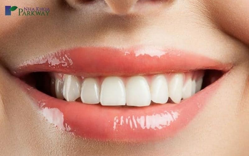 hàm răng người trưởng thành có bao nhiêu cái