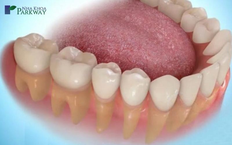 răng người thường có bao nhiêu chiếc