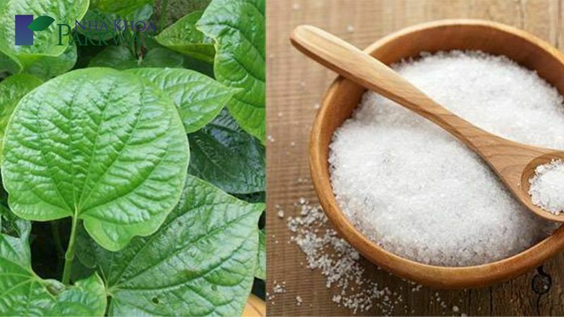 Mẹo chữa viêm chân răng tại nhà hiệu quả