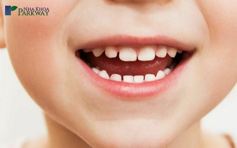 Giới thiệu sơ qua về răng sữa và răng vĩnh viễn