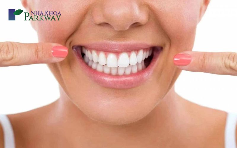 Chức năng của răng cửa là gì?