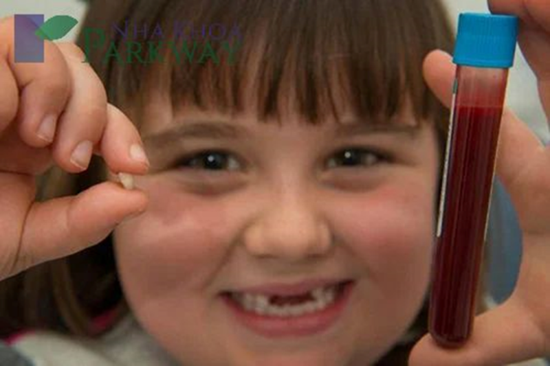 Răng sữa của trẻ em có chứa tế bào gốc giúp chữa bệnh