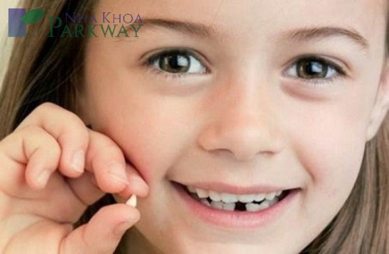 Quá trình trẻ thay răng sữa như thế nào? Những răng sữa nào thay?