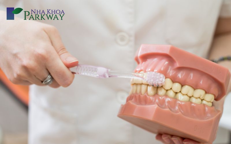 Điều trị sưng chân răng bằng cách đánh răng với bàn chải lông mềm