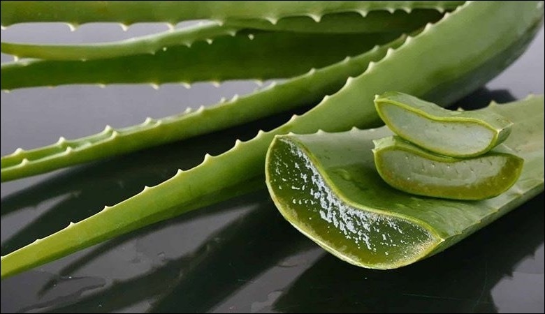 Giảm viêm chân răng bằng nha đam