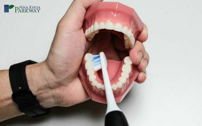 Cách đánh răng đúng cách để để trắng răng và phòng bệnh