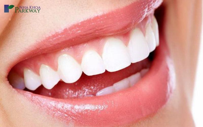 Răng cửa hàm trên và hàm dưới có vai trò rất quan trọng trong đời sống và sức khỏe răng miệng của con người