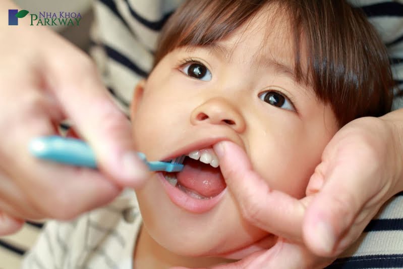Phân biệt răng sữa và răng vĩnh viễn như thế nào?