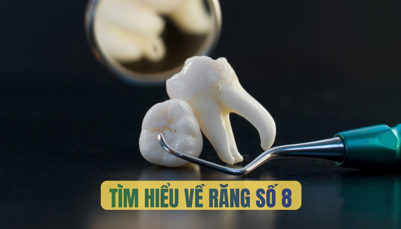 Tìm hiểu về răng số 8