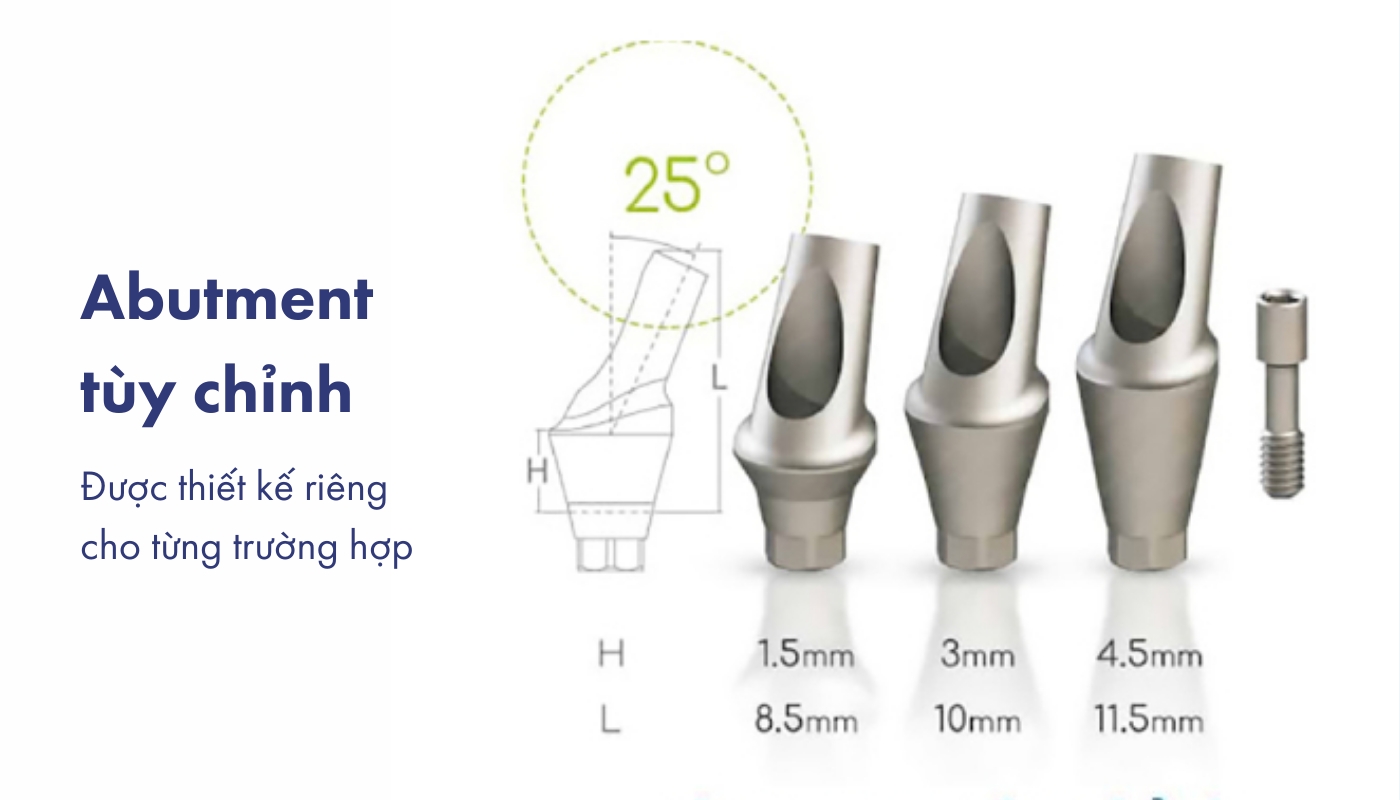 abutment tùy chỉnh