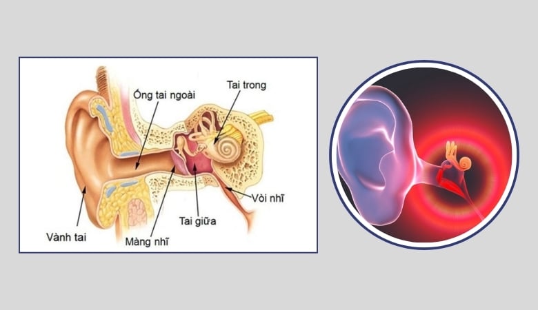 Nuốt nước bọt đau tai, đau họng - 3