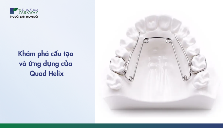 Khám khá cấu tạo và công dụng của quad helix