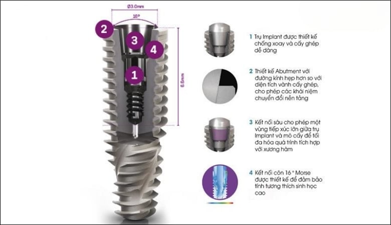 Trụ Implant Straumann - 9