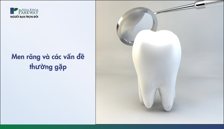 Tìm hiểu về men răng