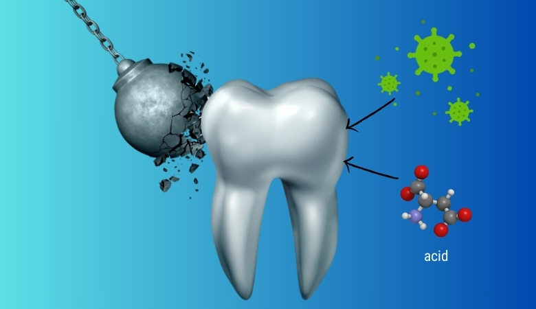 Men răng có vai trò bảo vệ các thành phần bên trong khỏi vi khuẩn, hóa chất gây hại