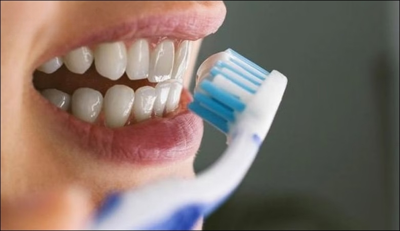 Chú ý giữ vệ sinh răng chó kỹ lưỡng