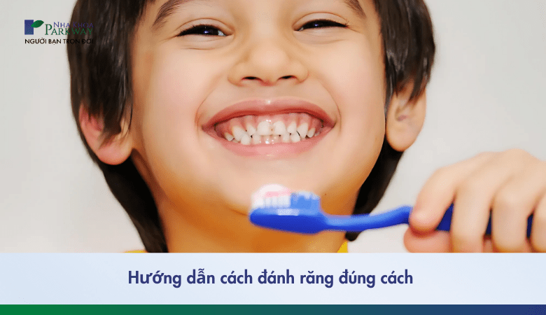 Hướng dẫn cách đánh răng đúng cách cho cả người lớn và trẻ em