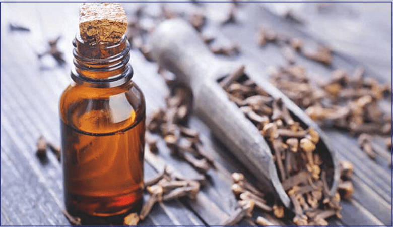 Đinh hương giảm đau răng