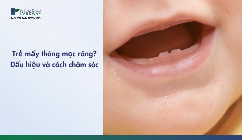Trẻ mấy tháng mọc răng